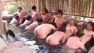 Elder Amateurs in Woods Therapy 2