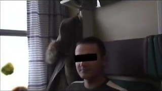 Searching for cocks in the train to Berlin with army guys